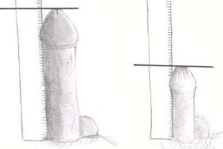 the enlargement of the penis.